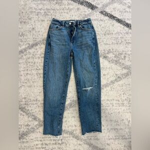 Women’s DYNAMITE Claudia HR Jeans ~ 25